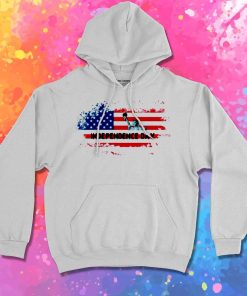 Vintage Flag Independence Day Hoodie