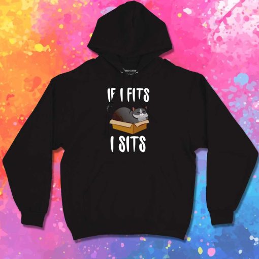 If I Fits I Sits In Box Hoodie