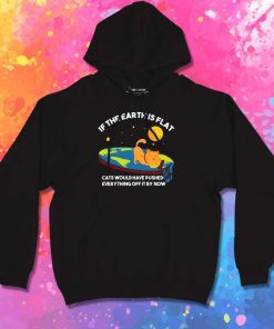 If The Earth Is Flat Cats Play Hoodie