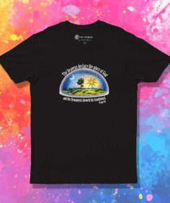 Bible Flat Earth Snow Globe T-Shirt