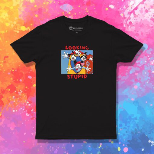 Vintage Looking Stupid Animaniacs T Shirt